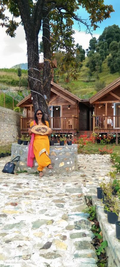 Vanprastha Resorts Dwarahat Екстериор снимка