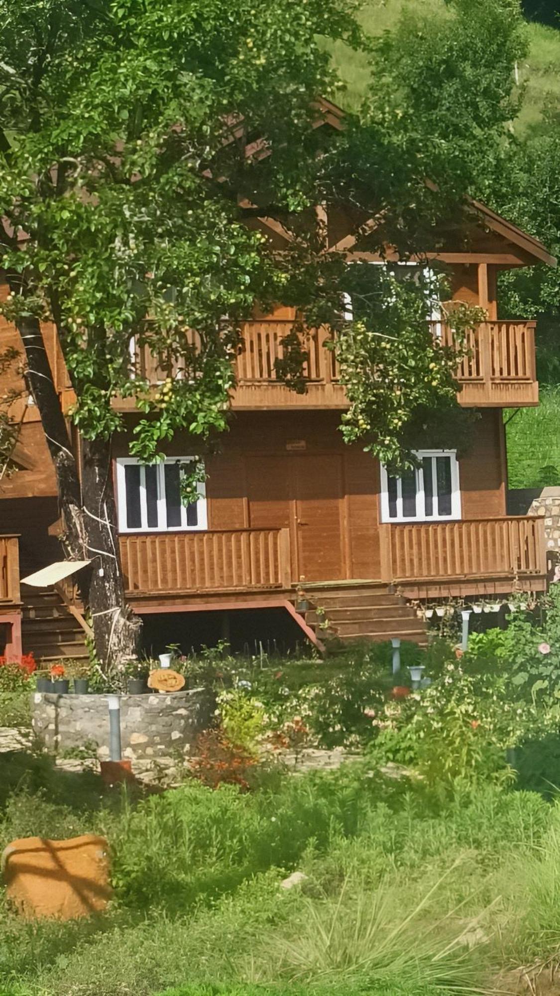 Vanprastha Resorts Dwarahat Екстериор снимка