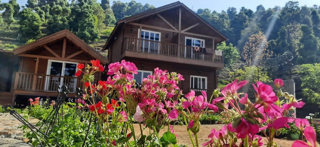 Vanprastha Resorts Dwarahat Екстериор снимка